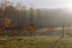 vue d'automne de la terrasse